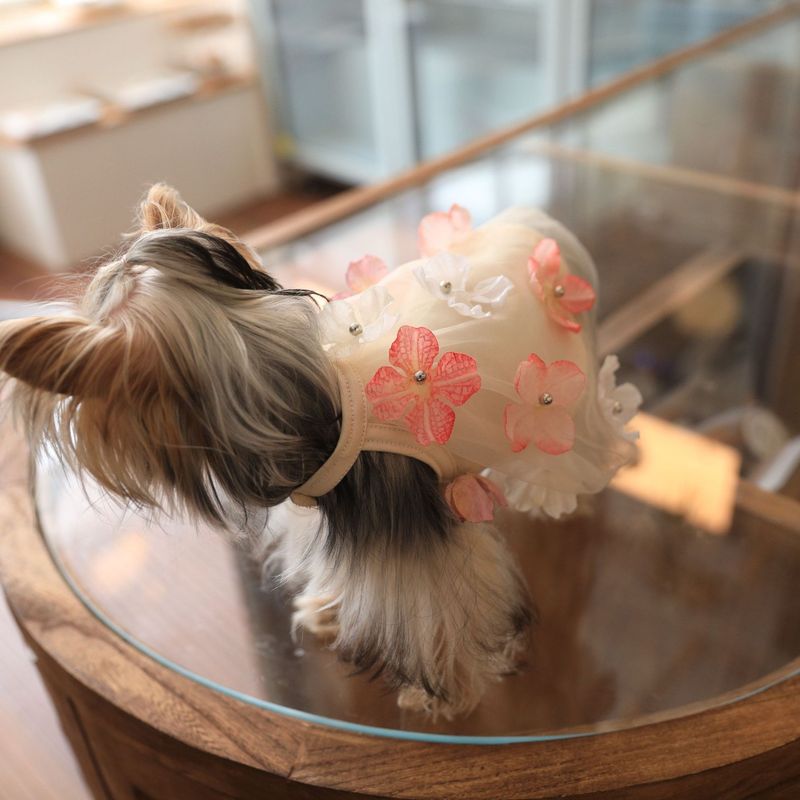 Summer Dog Fairy Dress With 3D Flower Mesh, Cute Breathable For Teddy, Bichon, And Yorkshire_voghion.com