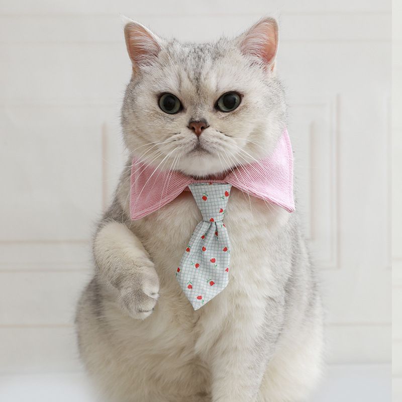 Pet Cat Bow Tie Handmade Collar Bell Strap Bowknot Dog Scarf Accessories Cute Cartoon Necklace_voghion.com
