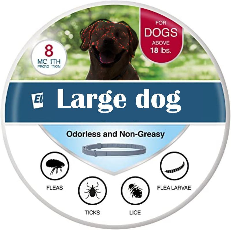 Die umfassendste Version des Flohhalsbands_voghion.com