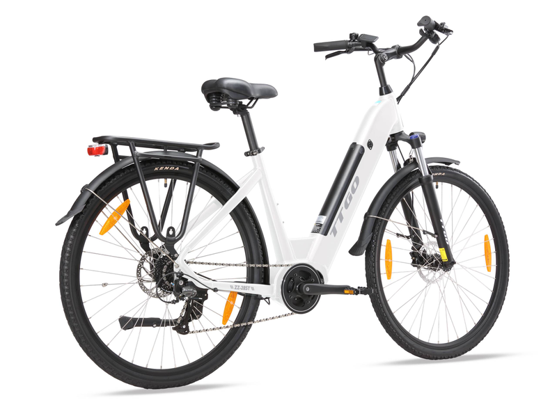 TTGOEBIKE Vélo électrique de montagne à gros pneus de 28 pouces, 36 V, 250 W, moteur central, vélo de trekking/vélo de ville à assistance électrique pour hommes et femmes_voghion.com