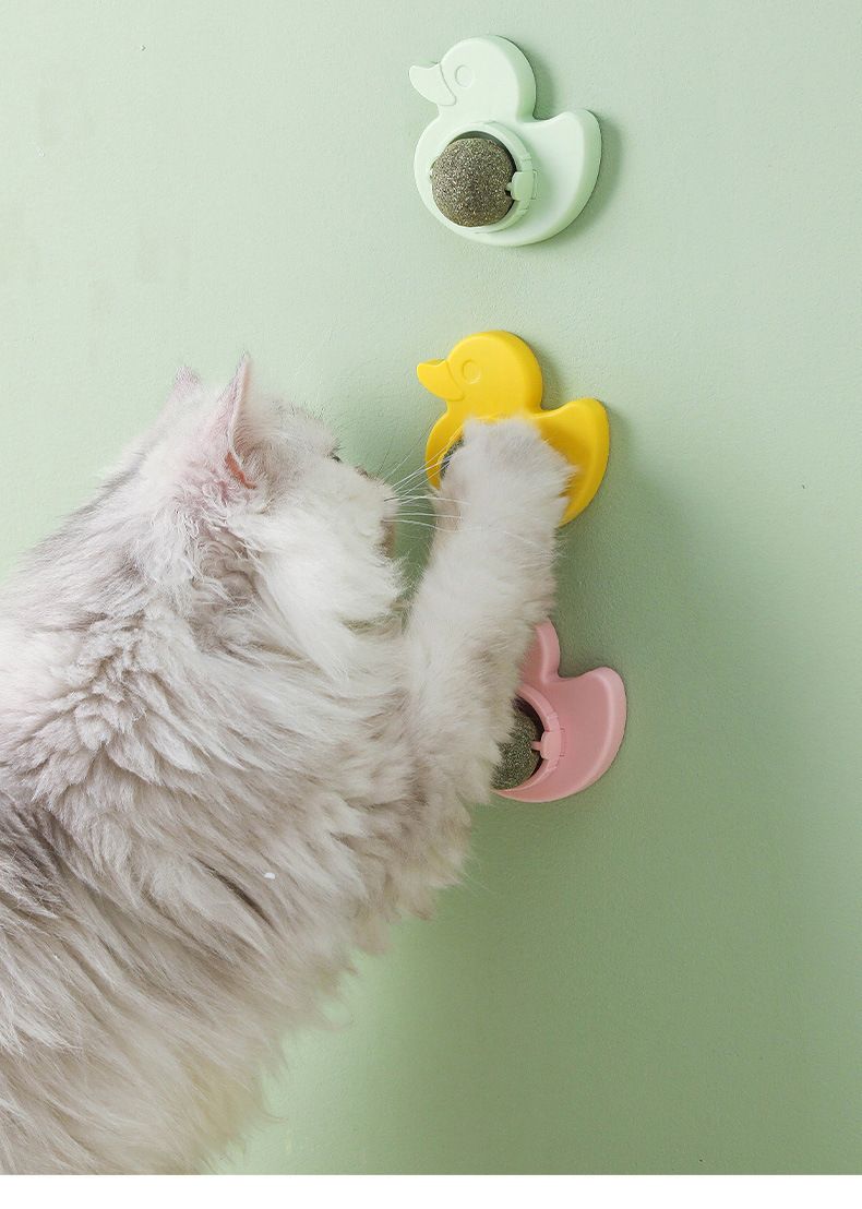 Giocattolo per gatti Palla di menta per gatti Lecca musica Commestibile Self-Hi Giocattolo per gatti Molare Pet Cat Self-Play Forniture per sonnolenza_voghion.com