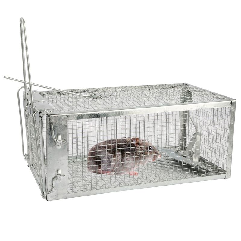 Rat Trap Cage Humane Live Rodent Trap Cage Galvanized Iron Mice Mouse Control Bait Catch With Detachable U Shaped Rod_voghion.com