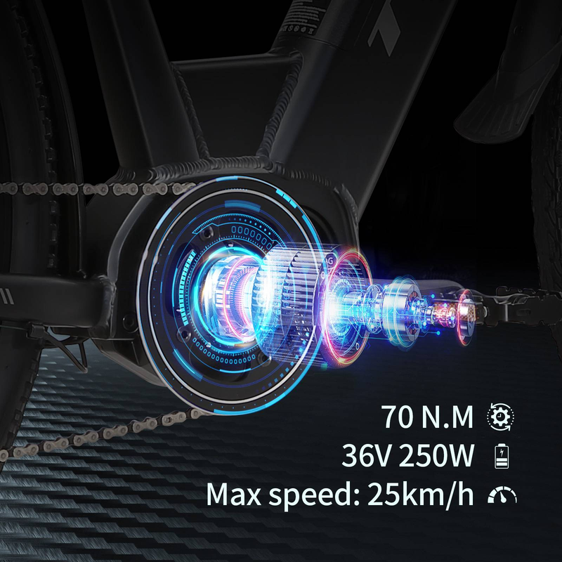 TTGOEBIKE Vélo électrique de montagne à gros pneus de 28 pouces, 36 V, 250 W, moteur central, vélo de trekking/vélo de ville à assistance électrique pour hommes et femmes_voghion.com