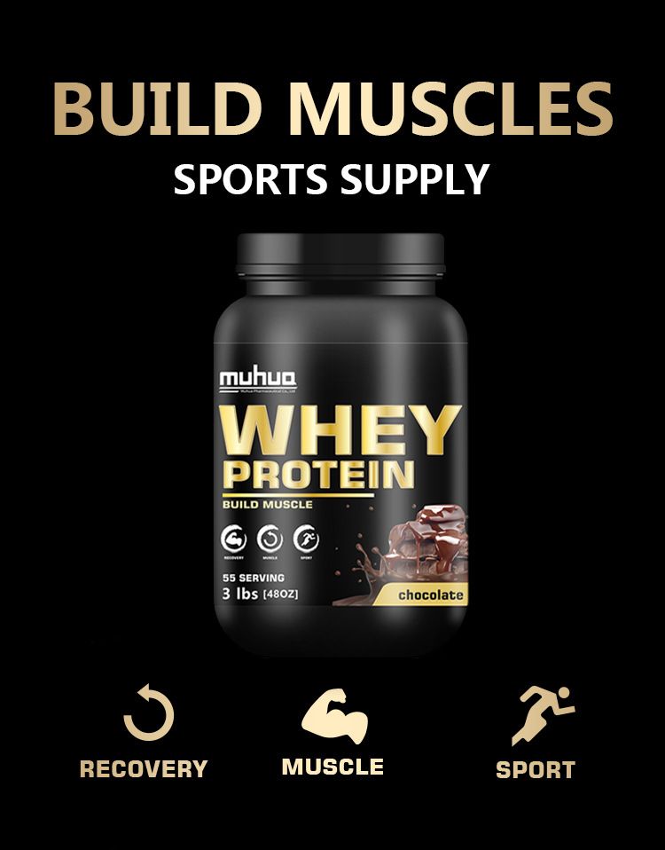 3 Lbs Cross-Border Export Whey Chocolate Flavor 3LBS Protein Powder_voghion.com