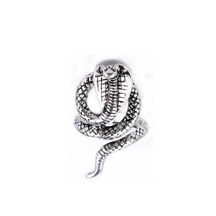 Decorative snake shaped for men's Instagram trendy niche design, internet celebrity high-end cool style open index_voghion.com