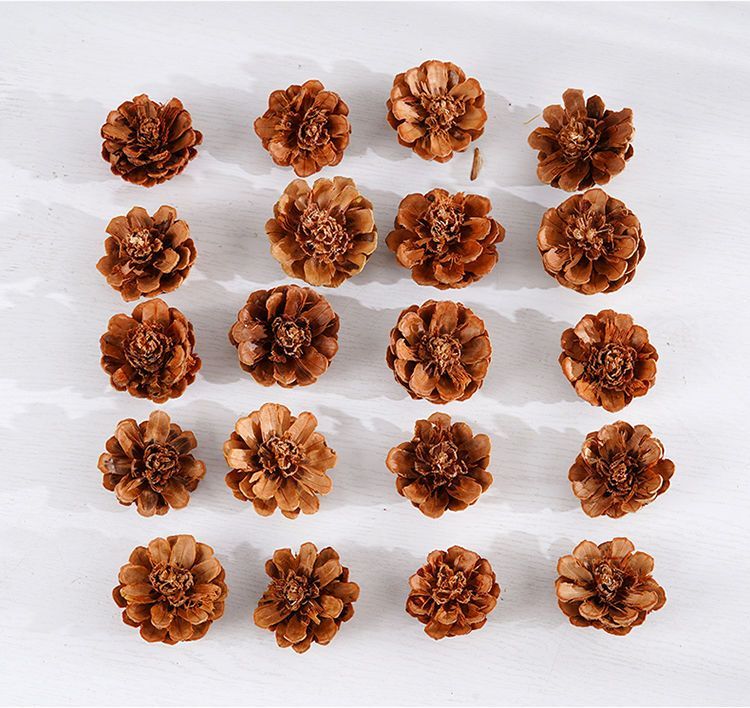 Décoration Pomme de pin Gland Fleur Fait main DIY Forêt Maternelle Création environnementale Branches séchées Sauvage Créatif_voghion.com