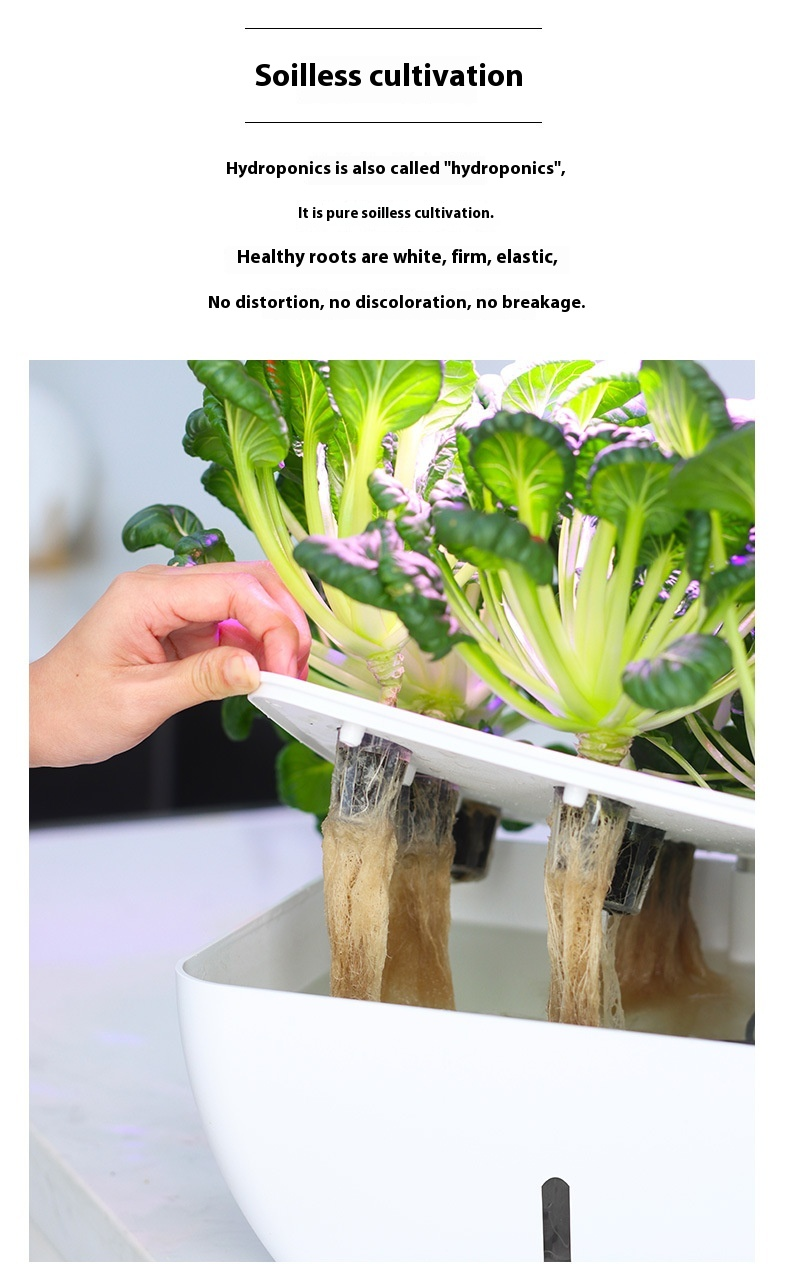 Máquina de plantio hidropônico inteligente com WIFI Equipamento hidropônico de vegetais domésticos Máquina de cultivo sem solo com luz de preenchimento doméstico_voghion.com