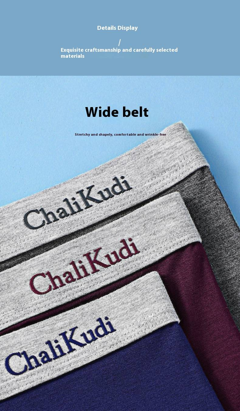 Men's Modal Boxer Briefs - Breathable, Comfortable & Quick-Dry Underwear For All-Day Wear (L-XXXXXL, Multiple Colors)_voghion.com