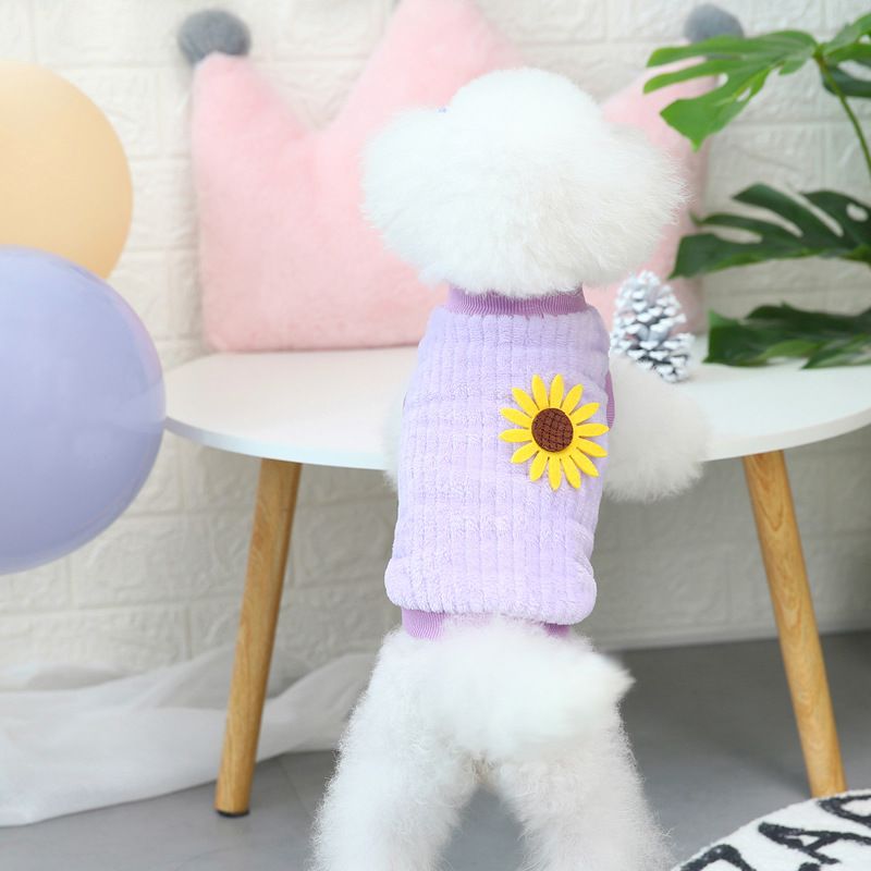 Pet dog autumn and winter new pet clothing, two legged jacket, 21 vertical Korean version flannel jacket_voghion.com