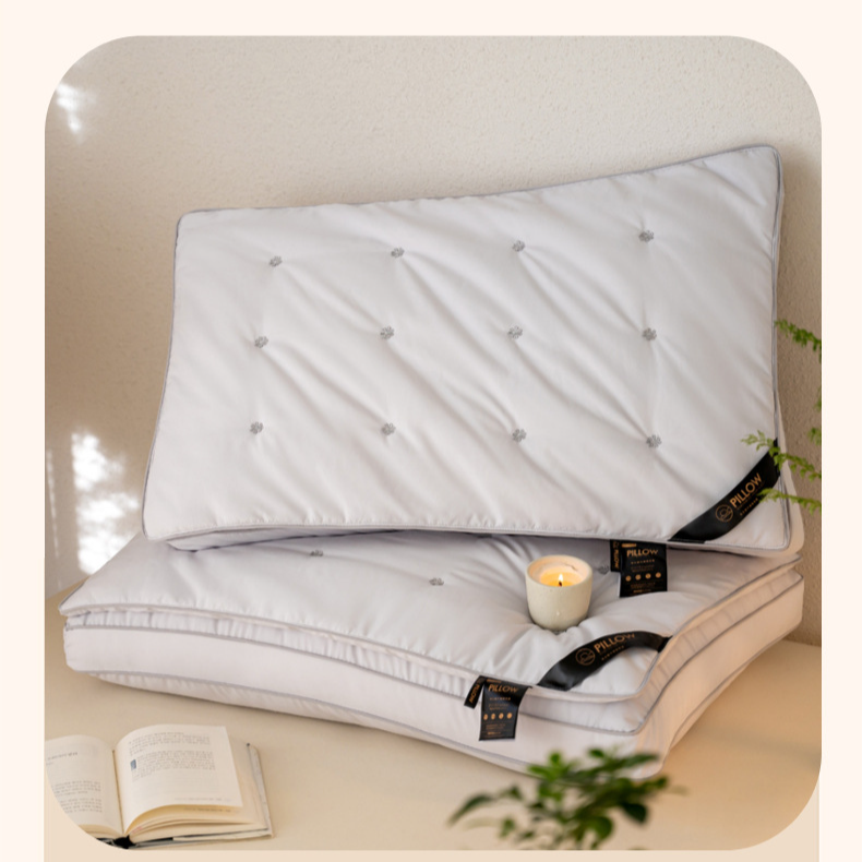 Double Layer One Piece Small Fresh And Simple Style Feather Silk Pillow Single Hotel Dormitory Home Adult Gift Pillow Core_voghion.com