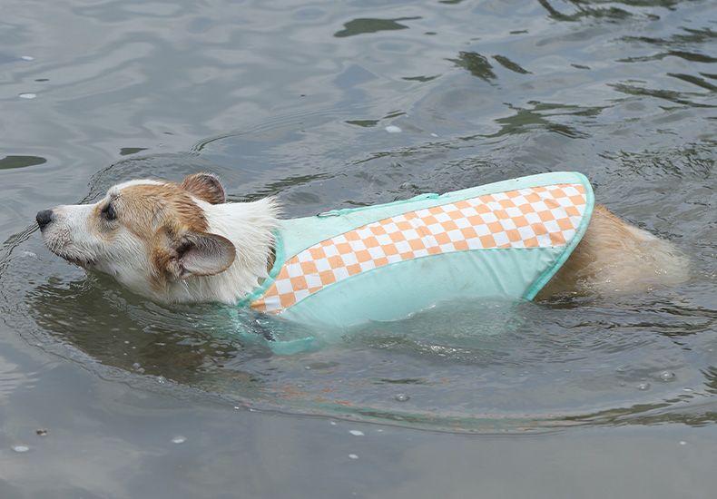 Life Pet Dog Corgi Fleece Clothes Shiba Inu Labrador Swimming Suit Summer Buoyancy Jacket_voghion.com
