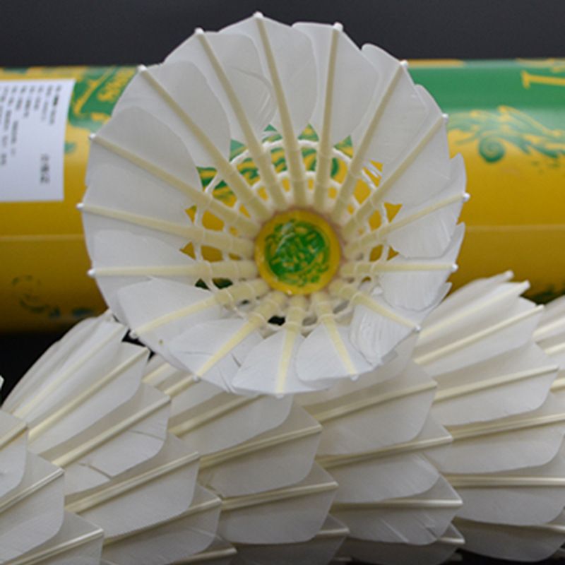 TBT Stable Flight Duurzame 12-Pack Wedstrijd Training Professionele Badminton 7776_voghion.com