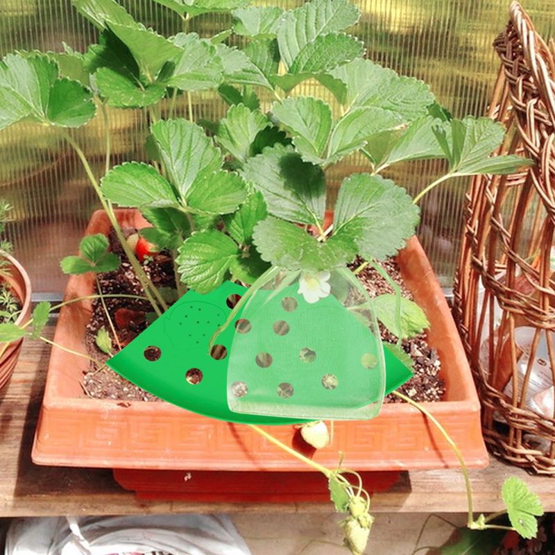 8Pcs Strawberry Planting Kit With 20Pcs Insect-proof Mesh Bag Reusable Strawberry Growing Racks Frame Protecting Strawberry Plants_voghion.com