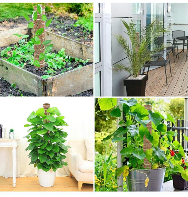 Plant Vine Traction Climbing Column, Natural Coconut Palm Rod 30cm/40cm/50cm, Can Be Freely Combined And Spliced_voghion.com