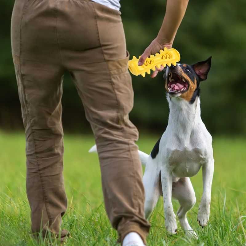 New Pet Supplies Durable Chew Teeth Cleaning Teething Stick TPR Dog Indestructible Toy_voghion.com