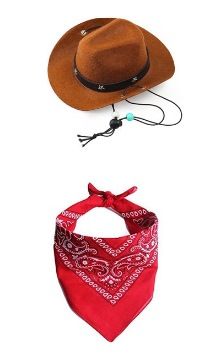 Nouvel ensemble de fête d'anniversaire rose, fournitures pour animaux de compagnie, petit chapeau de cowboy de style occidental_voghion.com