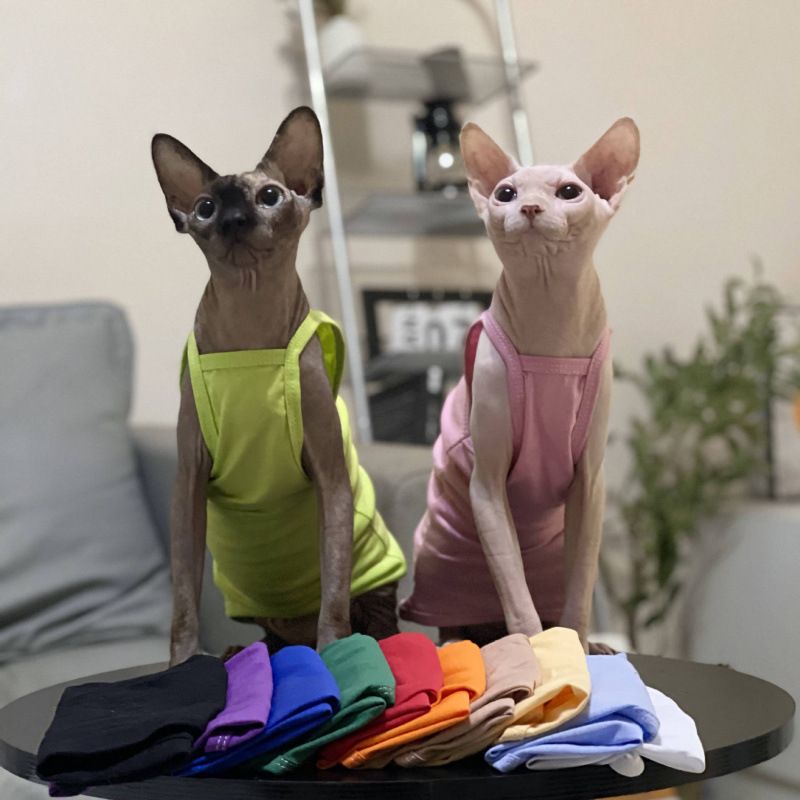 Hairless Summer Strap Thin Breathable Air-conditioned Room Multi-color Short-legged German Sphynx Cat Clothes Niliu_voghion.com