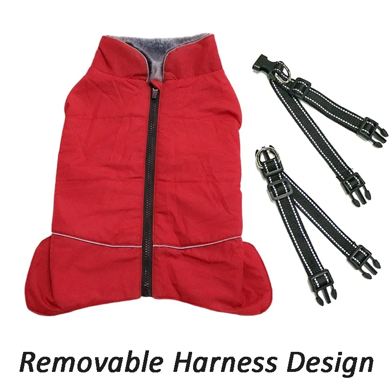 Waterproof Jacket CDDMPET For Dogs, Polyester, Medium And Large Breeds By PawParty Store_voghion.com