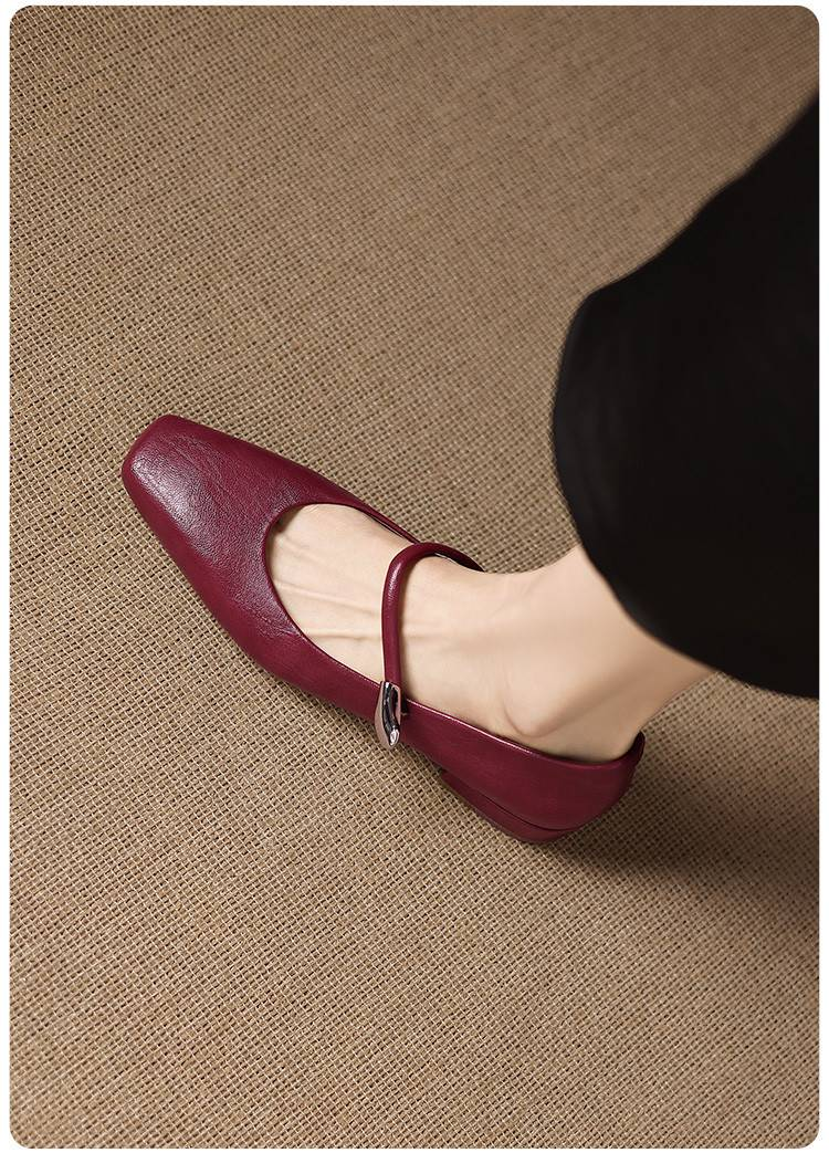 Cameido French Vintage Square Toe Versatile Shallow Square Heel Shoes For Women, 2025 Autumn Mary Jane Style With Ankle Strap_voghion.com