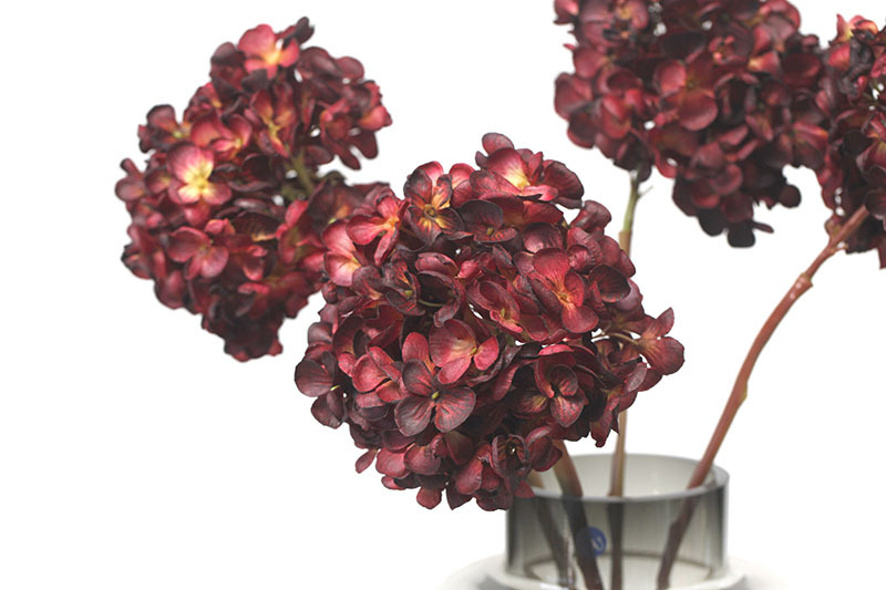 Blummen, grouss Hortensien mat verbranntem Rand, Retro Uelegmolerei, Hochzäitsdekoratioun fir doheem an Hoteler, Blummenkonscht_voghion.com