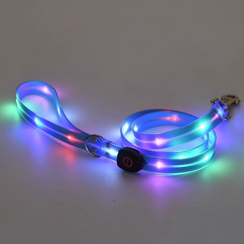 Coleira luminosa anti-perda para caminhada noturna com luz para cães_voghion.com