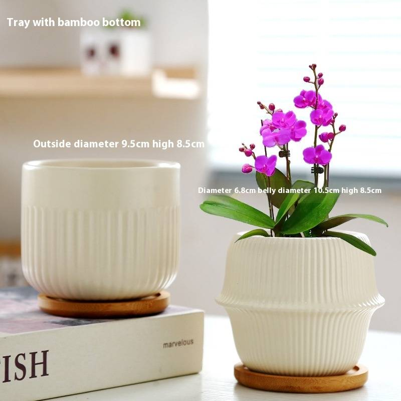 Keramik-Blumentopf mit Untertasse – Stilvolles Wohndekor für Sukkulentenpflanzen – Modernes und elegantes Design_voghion.com