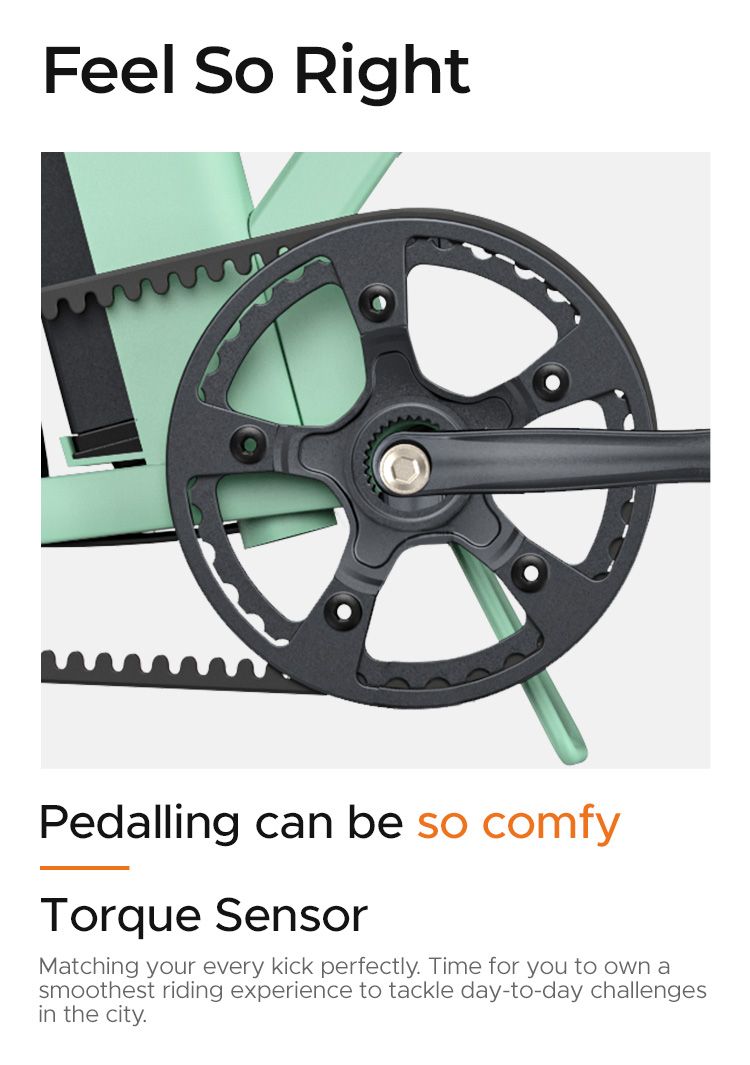 Bicicletta elettrica pieghevole ENGWE P20 da 20 pollici, motore con sensore di coppia da 250 W, batteria da 36 V e 9,6 Ah, freni a disco idraulici, bicicletta elettrica_voghion.com