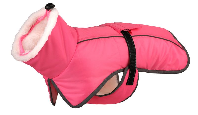 Ropa nueva de otoño e invierno, cálida, impermeable y resistente al frío, abrigo de algodón para mascotas, suministros para perros._voghion.com