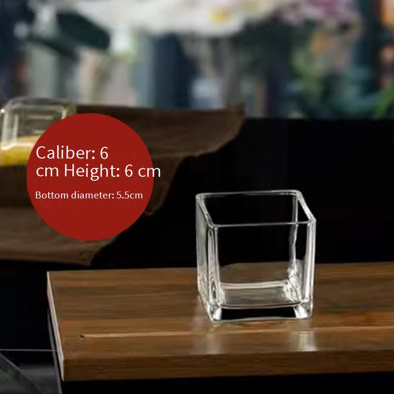 Home Decor Simple Hydroponic Vase Transparent Square Tank Water Growing Lily Tulip Daffodil White Palm Vessel Living Room Small Flower Pot_voghion.com