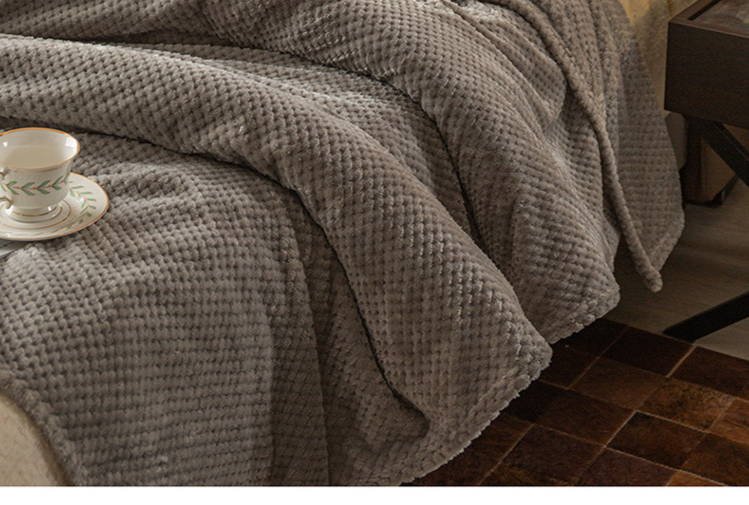 Solid Color Pineapple Blanket Flannel Cover Blanket Coral Fleece Air Conditioning Blanket Nap Blanket Sofa Towel_voghion.com
