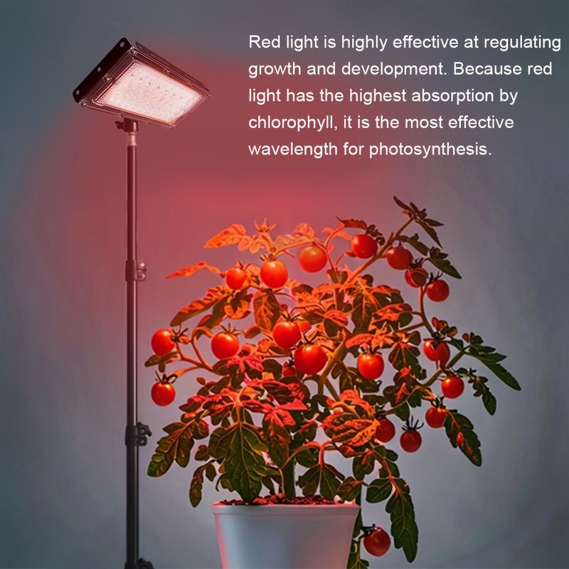 Grow Light For Indoor Plants, Full Spectrum Standing LED Plant Grow Lights - Timer & Adjustable Tripod Stand, Led Floor Lamp For Indoor Plants Growing_voghion.com