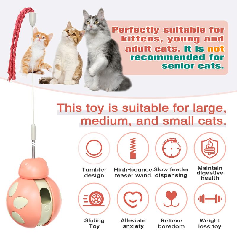 New Popular Tumbler Balance Car Beetle Cat Toy_voghion.com