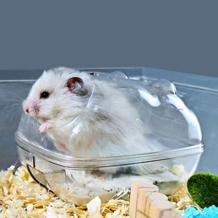 Splash-proof Small Hamster Bathroom Toilet Dual Purpose Nest_voghion.com