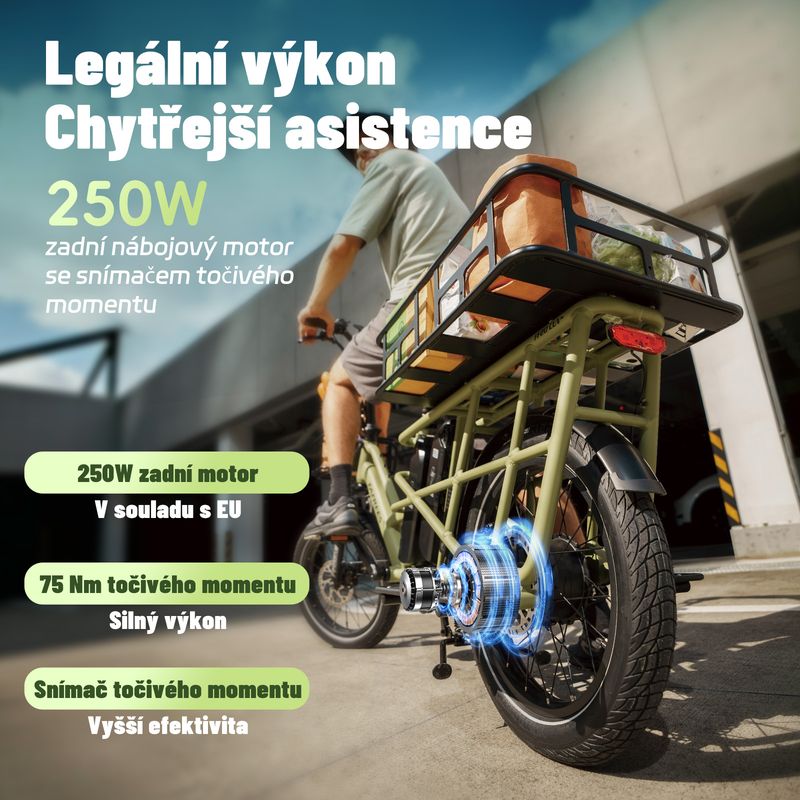 Fafrees FF20 CUV Elektrisches Lastenfahrrad 250W mit 48V 12Ah Doppelbatterien 20 Zoll_voghion.com