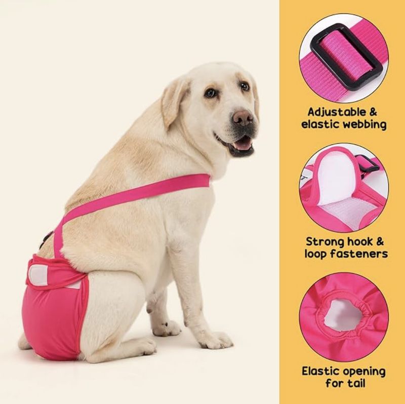 Pannolini in stoffa per animali domestici con cinturino sanitario_voghion.com