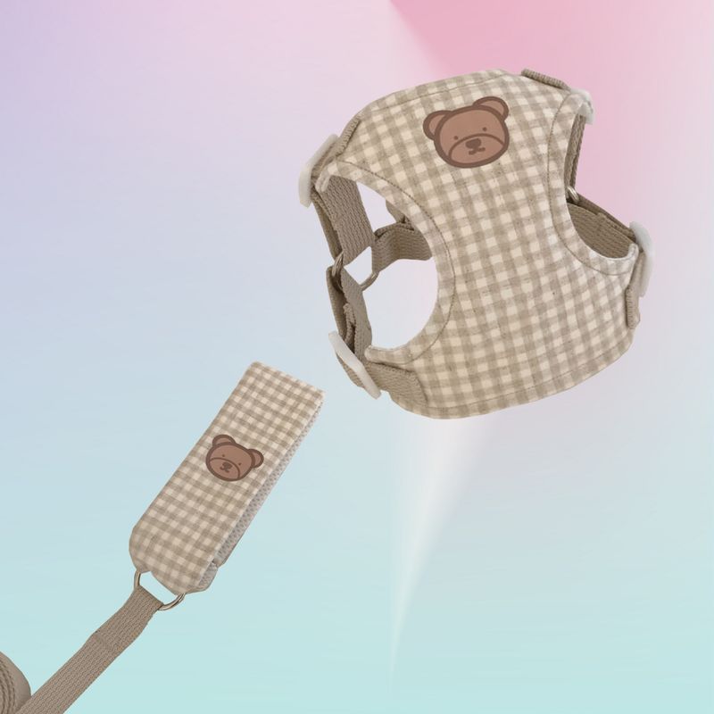 INS Korea Cute Bear Series Pet Teddy Bichon Pettorina da esterno con guinzaglio_voghion.com