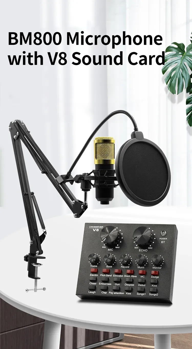 better Quality BM800 Professional Microphone Condenser Mic V8 V9 V10 Sound Card PC Computer Audio USB Recording Studio Game Live_voghion.com
