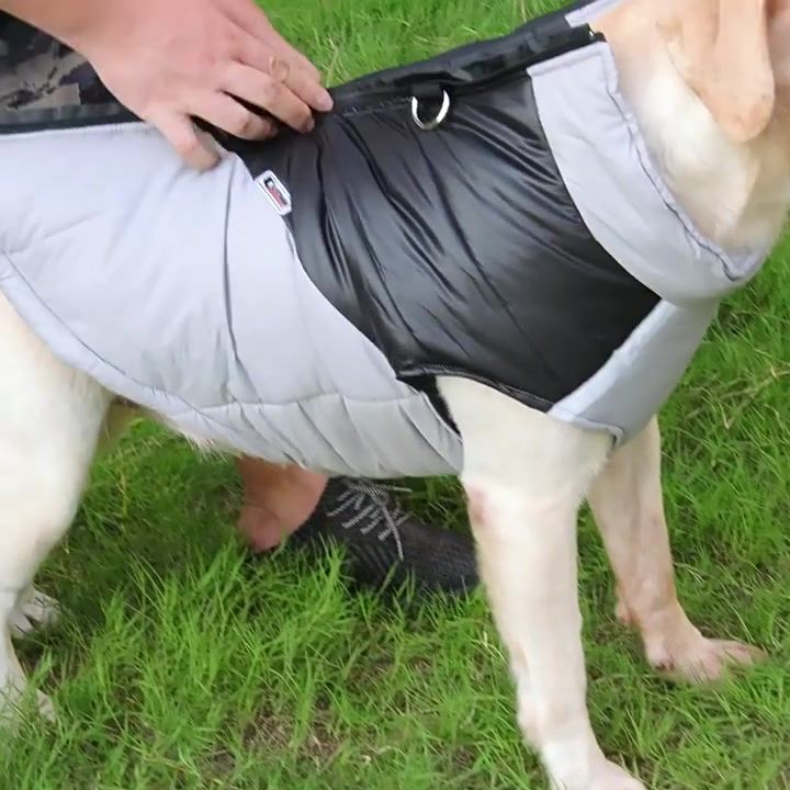 Vêtements imperméables, veste zippée, manteau pour petits, moyens et grands chiens, vêtements d'hiver chauds pour animaux, combinaison pour chien, gilet, par PawParty Store_voghion.com