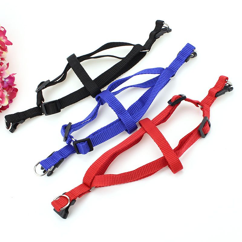 Single Nylon Pet Cat Leash Supplies For Small And Medium Dogs Retractable Dog Harness_voghion.com