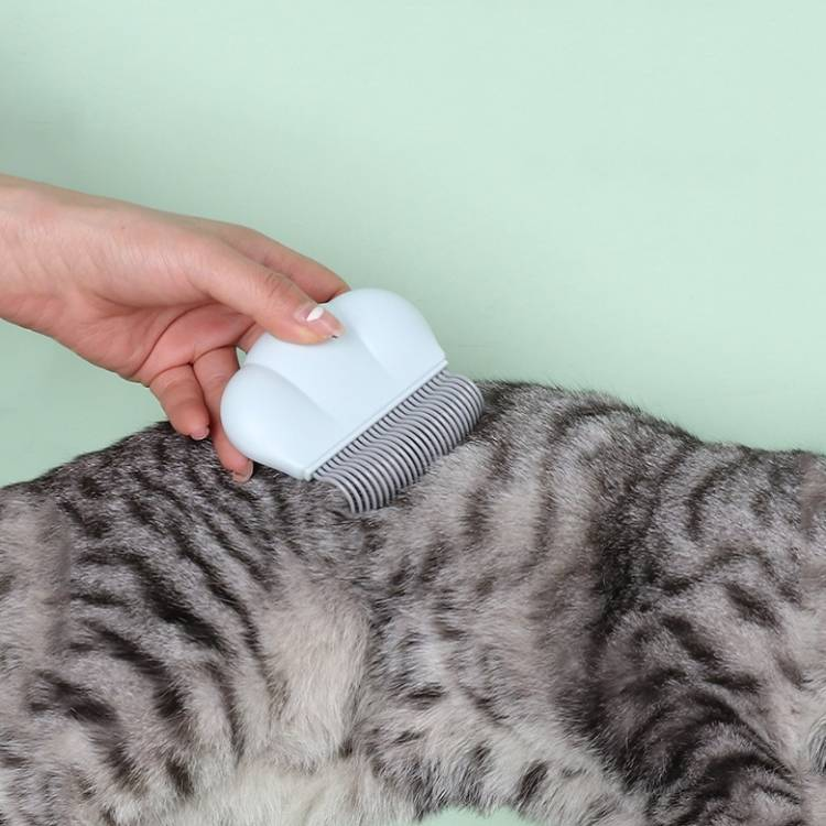 Pet Hair Removal Shell Comb Cat Tickling Massage Comb_voghion.com