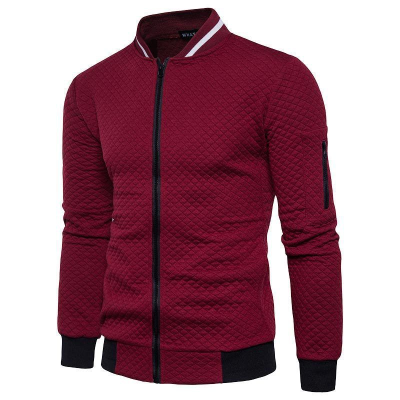 2024 European size new zipper stand up collar hoodie men's checkered cardigan jacket_voghion.com