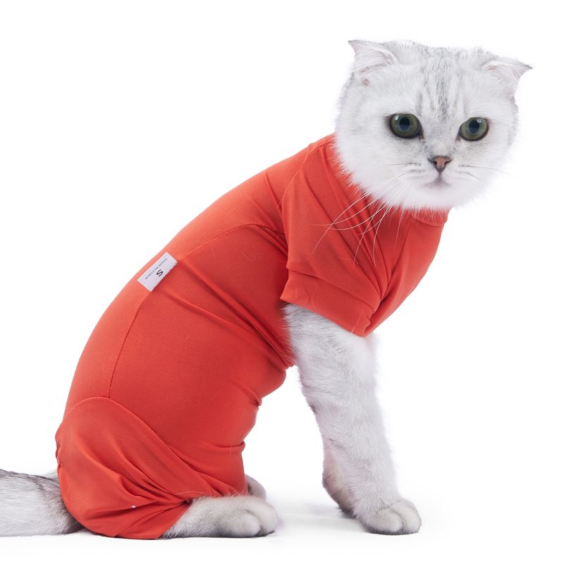 Nouveaux vêtements anti-perte de poils pour animaux de compagnie, combinaison post-opératoire pour chat castré_voghion.com