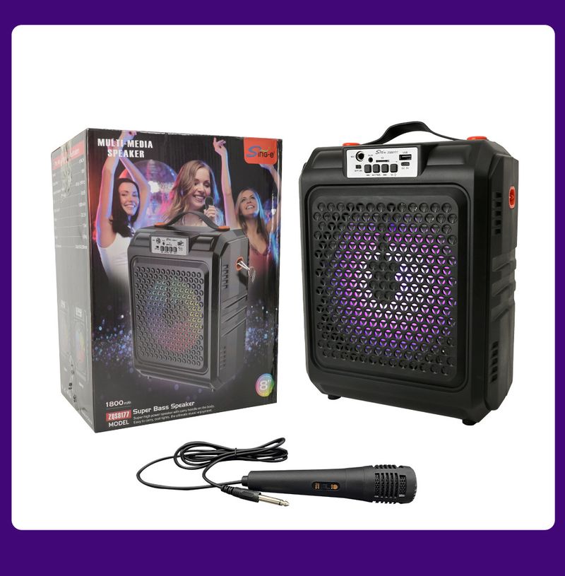 ZQS8177W 8-Zoll-Karaoke-tragbare KTV-Stereoanlage mit Mikrofon mit Radio DJ Big Sound_voghion.com