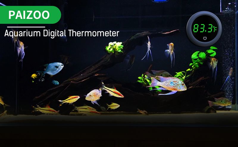 【IP68】Digital Aquarium Thermometer | External LCD Display | -10°C~65°C | Wireless Probe | Touch-Activated_voghion.com