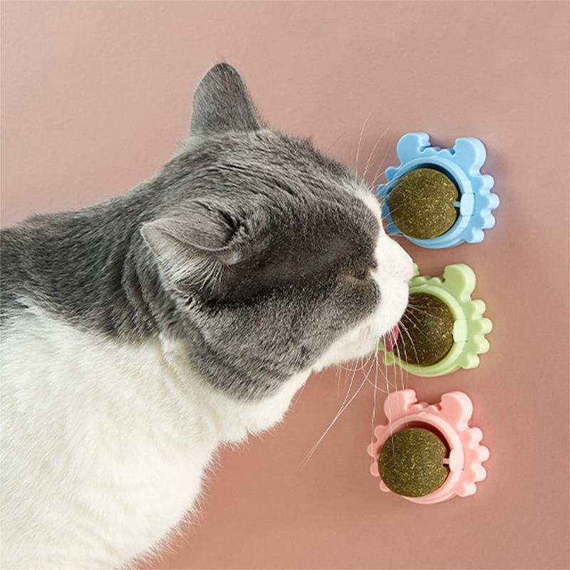 3 Pcs/Set For Cat Catnip Toys With Lid Interactive Toy Teeth Cleaning Mint Ball_voghion.com