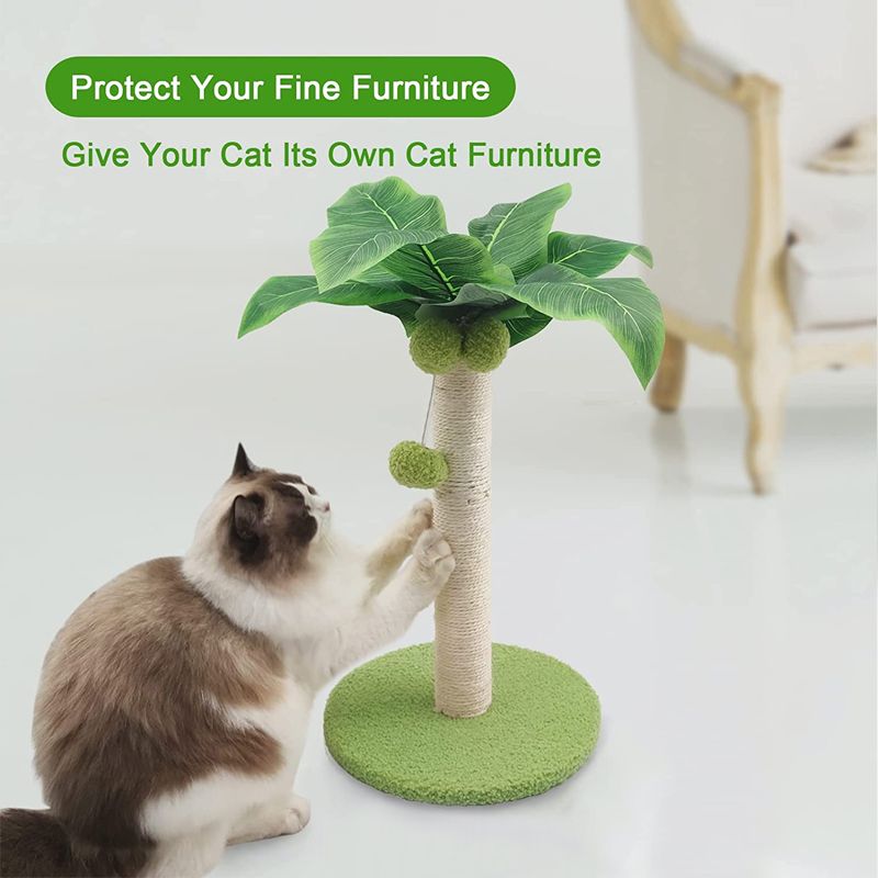 Cat Scratching Post For Cats Tree Catcus Cat Scratcher Posts Toy Cute Kitten Kitty Sisal Rope Scratch With Teaser Ball_voghion.com