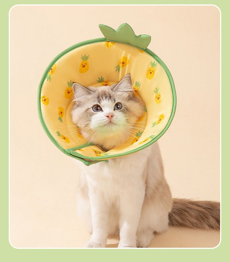 Coleira de esterilização Elizabeth Circle com estampa completa de abacaxi e frutas para cães e gatos, suprimentos para animais de estimação anti-mordidas e lambidas_voghion.com
