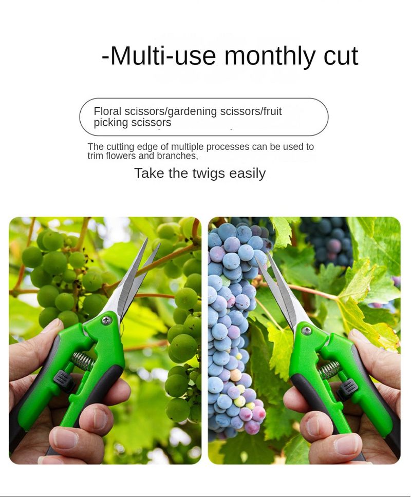 Zahradní nářadí Zahradnické nůžky Nůžky na bonsaje Nůžky na kov Zahradnické nůžky Nástroj na zařezávání Ruční řezačka Sbírání ovoce Domácnost v květináči 1ks_voghion.com