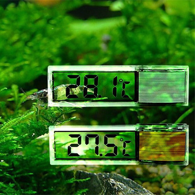 Thermomètre autocollant numérique LCD 3D pour Aquarium, crevettes, réservoir de poissons, température_voghion.com