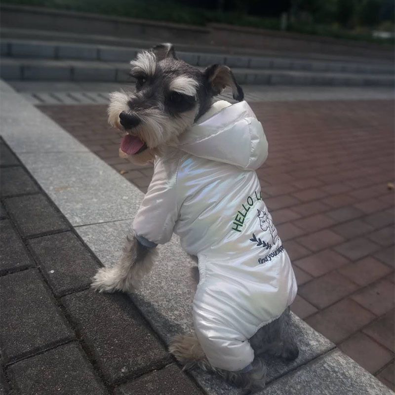 Giacca invernale calda e colorata, antivento, foderata in pile, per animali domestici, nuovo cappotto in cotone per cani e gatti_voghion.com